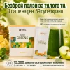 ansa™ - Daily Greens №1 Напитка за чревно здраве - 3 кутии