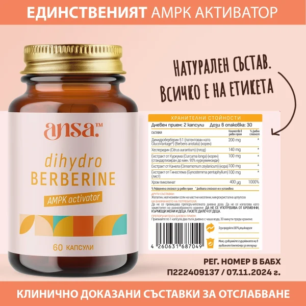 ansa™ – Оригиналният ДихидроБерберин - AMPK активатор - №1 в БГ